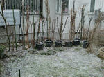 CIMG0005.JPG