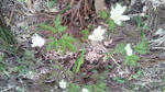 NEC_0082.JPG