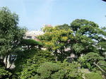 CIMG1304.JPG