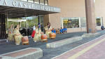 NEC_0120.JPG
