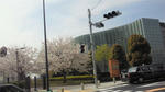 NEC_0163.JPG