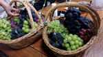 20130824_154224.jpg