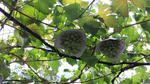 20130825_104404.jpg