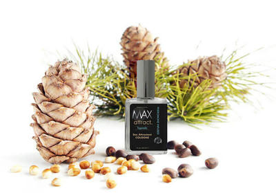 Nhóm hương gỗ – Woody