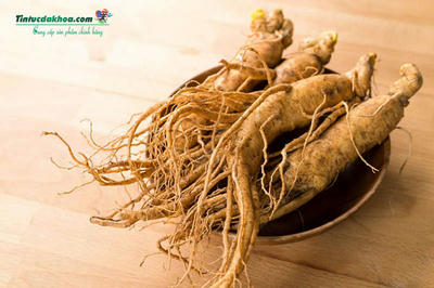 Thảo dược tăng kích thước dương vật