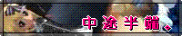 banner.gif