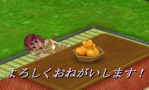 3d3327fa.jpg