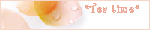 bn1.GIF