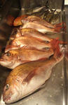 2013042217480000.jpg