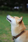 IMG_1666.JPG
