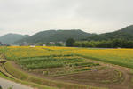 IMG_5191.JPG