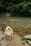 IMG_5197.JPG