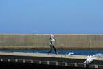 IMG_5751.JPG