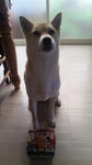 2013.1.33.jpg