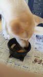 2013.1.36.jpg