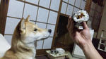 2013.2.44.jpg