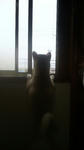 2013.2.115.jpg
