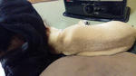 2013.2.116.jpg