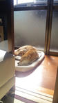 2013.2.164.jpg