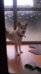 2013.4.122.jpg