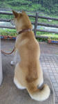 2013.6.283.jpg