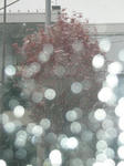 PA271353.JPG