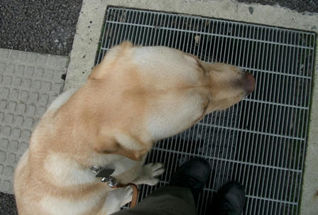 IMGP2117-m.JPG