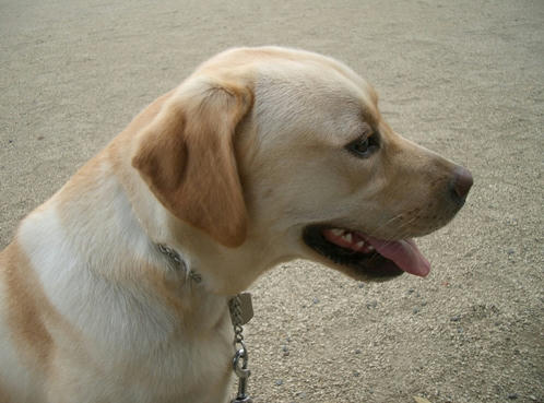 IMGP2140-m.JPG