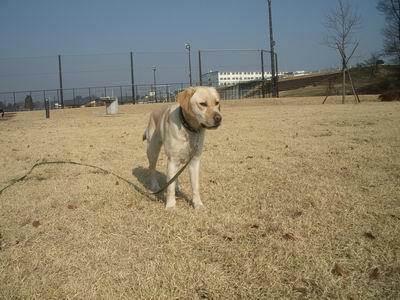 IMGP2336-m.JPG