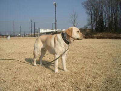 IMGP2338-m.JPG