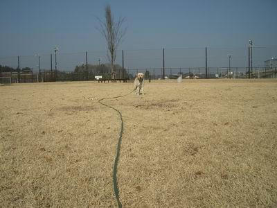 IMGP2339-m.JPG