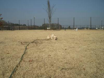 IMGP2341-m.JPG
