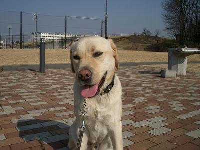 IMGP2354-m.JPG
