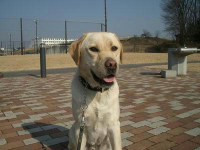 IMGP2355-m.JPG