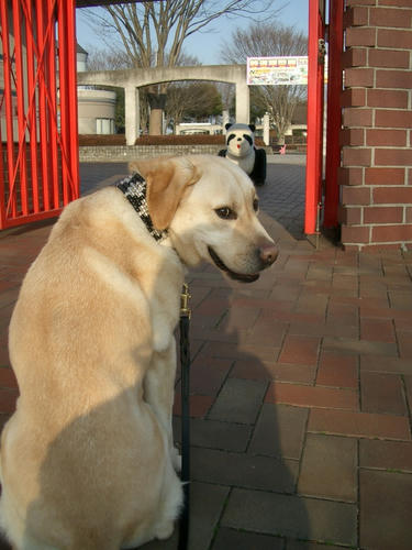 IMGP3111m.JPG