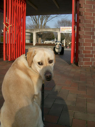 IMGP3113m.JPG