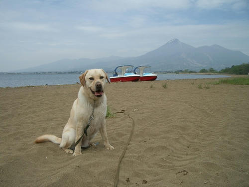 IMGP3197m.JPG