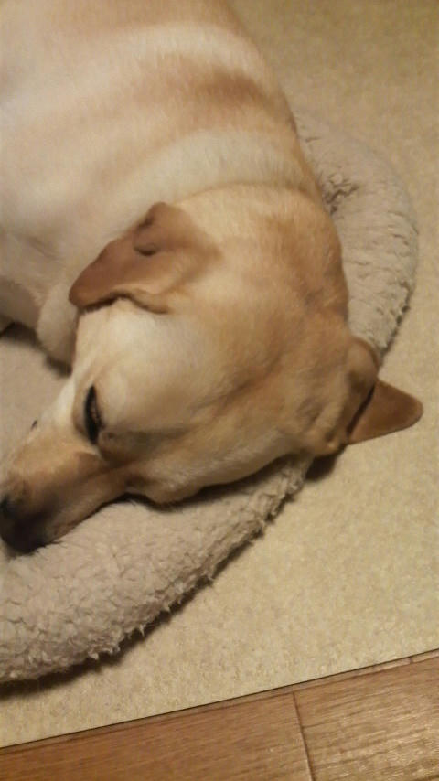 2011112117140000.jpg