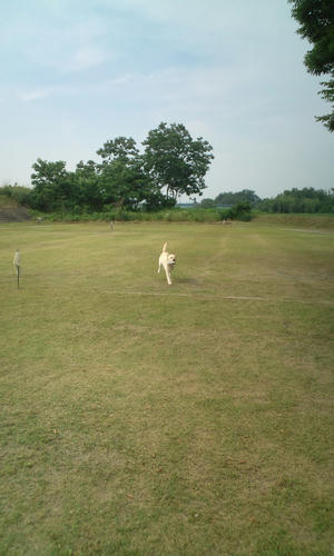 20120628151748.jpg