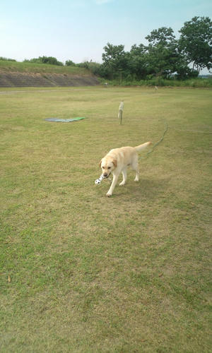 20120628151802.jpg