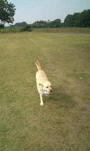 20120628151816.jpg