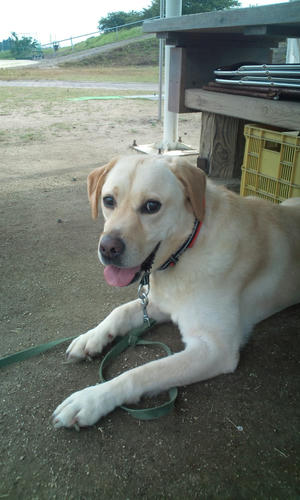 20120628152652.jpg