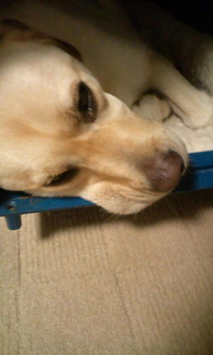 20120711220651.jpg