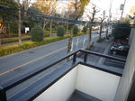 P1660290.JPG
