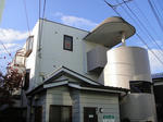 DSC02411.JPG