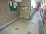 P1560074.JPG