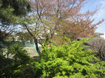 IMG_3361.JPG