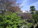IMG_3362.JPG