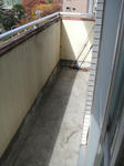 DSC02660.JPG