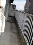 DSC02663.JPG